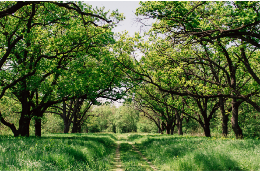 欢迎光临888集团(中国区)官方网站-Online Platform