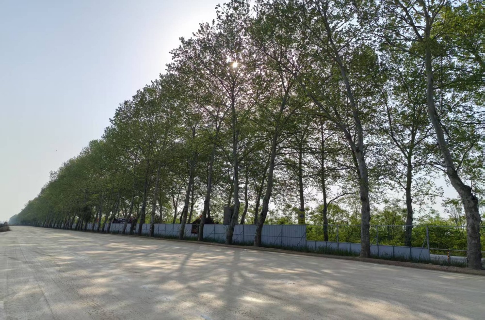 欢迎光临888集团(中国区)官方网站-Online Platform